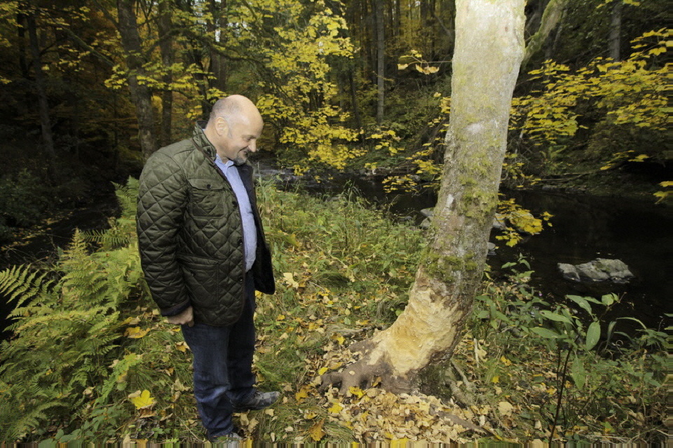 Florian Forchhammer steht vor einem von einem Biber angenagtem Baum